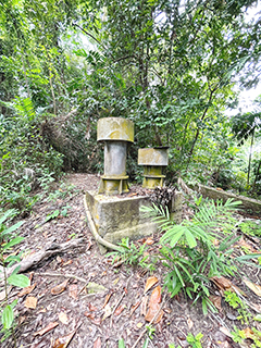 可能是防空洞的通風口