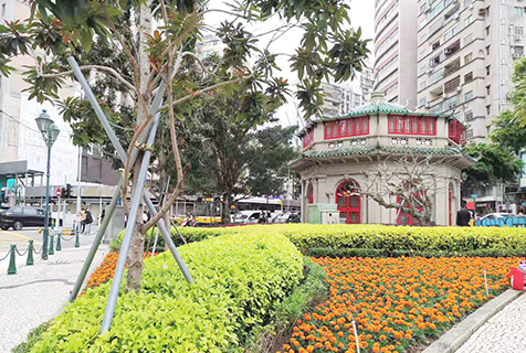 位於南灣的八角亭閱書報室,成為這一帶的地標(2021年3月攝)。