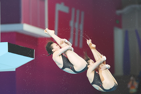 ◎ 十一月六日,在廣東省奧體中心游泳跳水館舉行的第十五屆全國運動會跳水項目女子雙人十米跳台決賽中,上海隊陳芋汐/掌敏潔榮獲冠軍。(中新社記者 陳楚紅 攝)