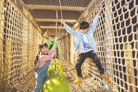 ◎ 橫琴探險中心推出主題探險月活動。