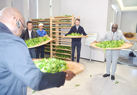 駐華使節在武夷山體驗搖青製茶技藝。(中新社記者 張麗君 攝)