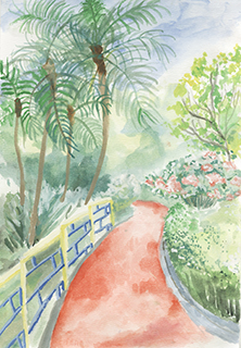 公園跑道 福建學校 五年級 岑樂兒