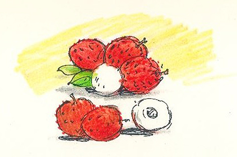 曹長雄老師 謎語圖