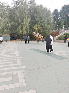 造型獨特的羊皮筏子