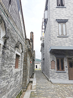 上岳村的建築很整齊