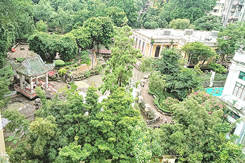 從培正中學教學樓俯瞰盧園,綠意盎然(攝於2026年8月29日)。